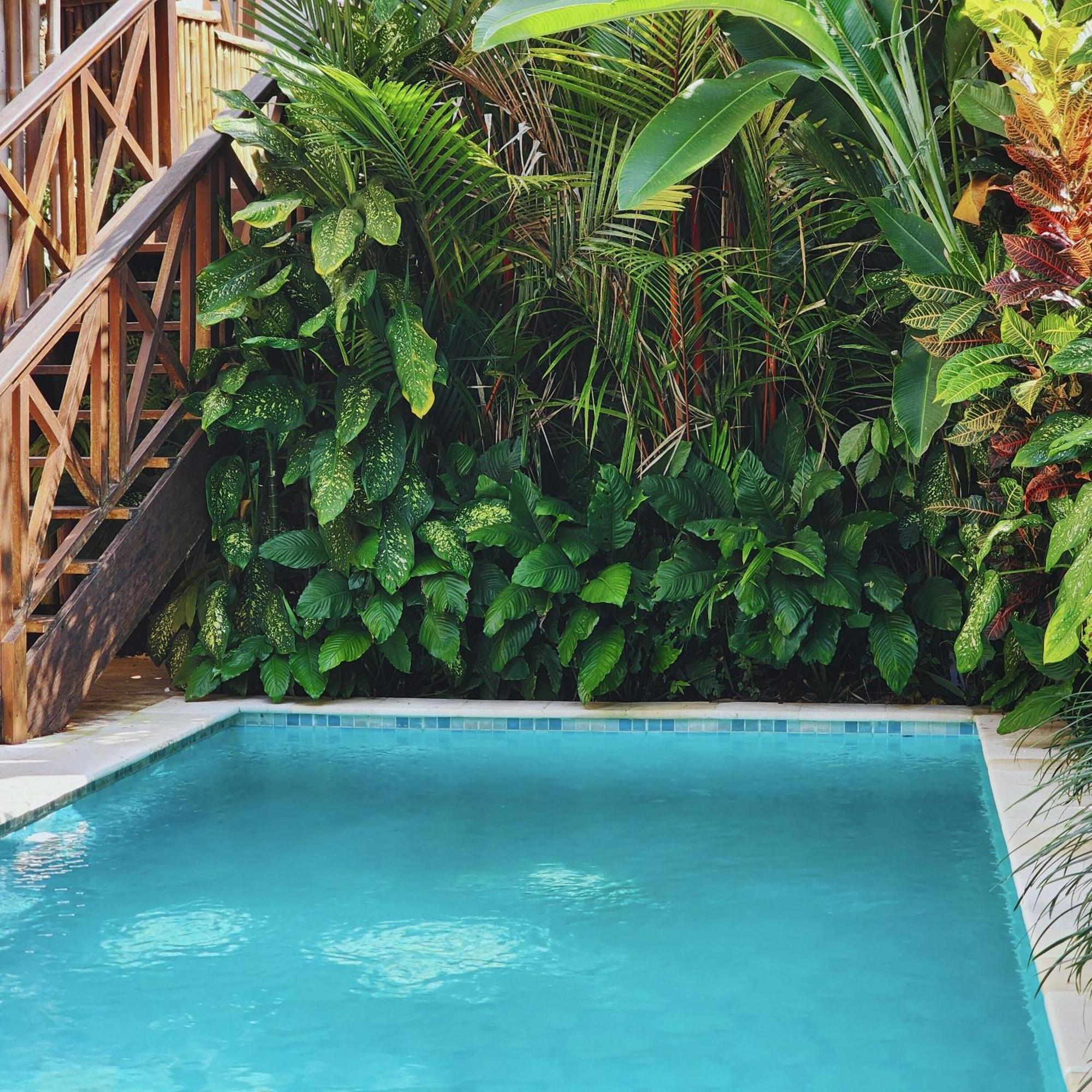 Danaya's Ubud